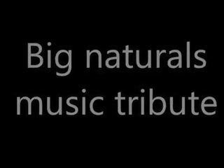 Pmv - musica tribute grande naturali